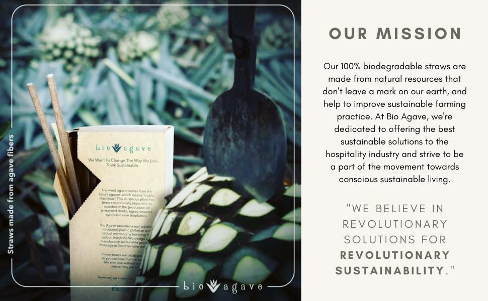 BIO AGAVE agave fiber manufacturing uses agro-industrial waste as a resource.