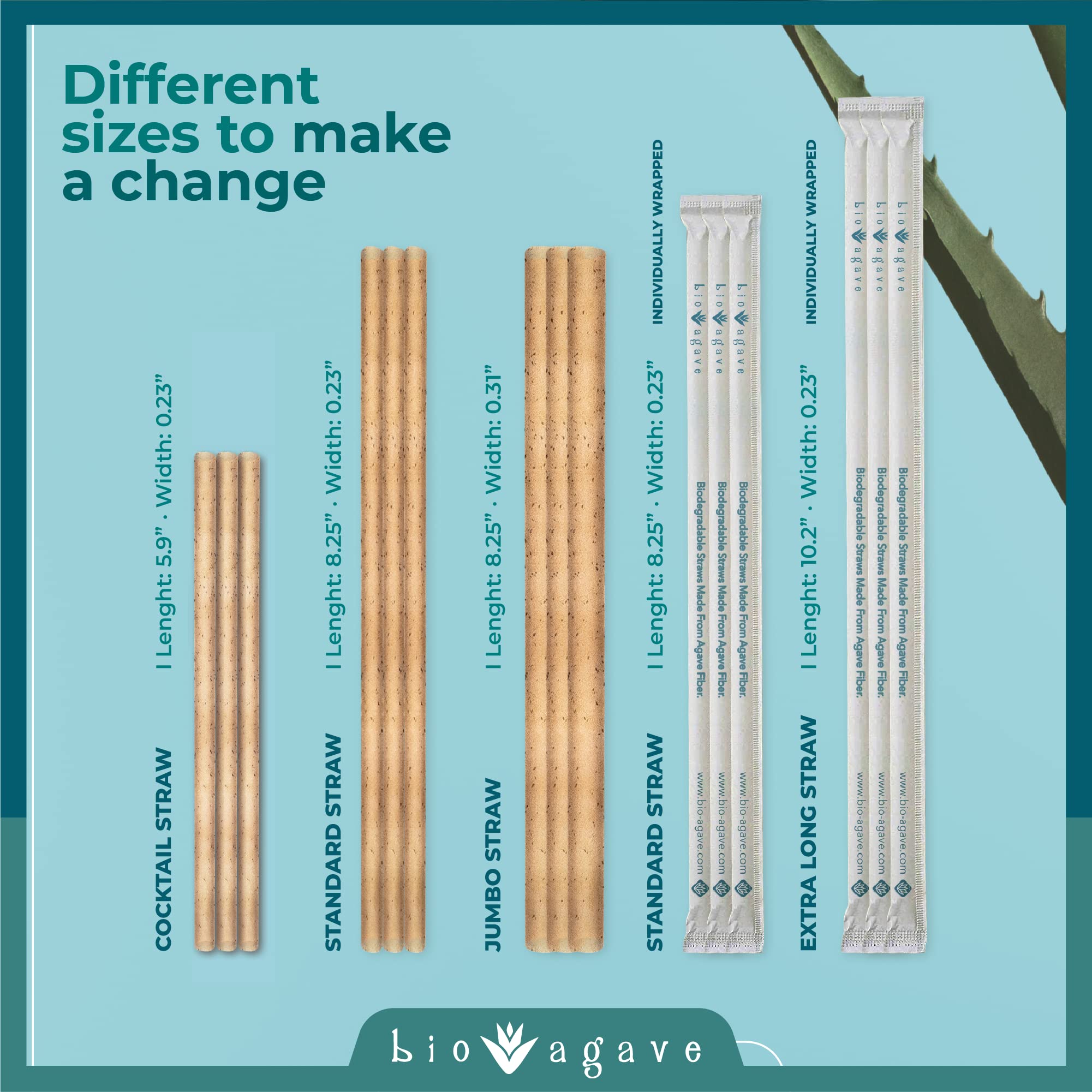 Cafe counter with BIO AGAVE straws, showcasing sustainable options