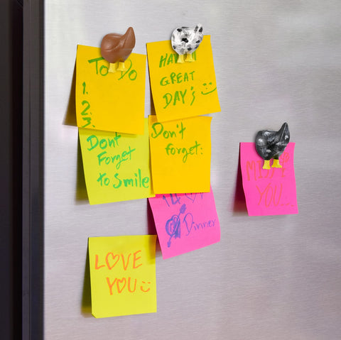 Bonuci chicken butt magnets packaging—a cute housewarming or coworker gift.