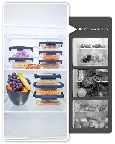 BOROHOUSE blue lids add color while keeping contents visible