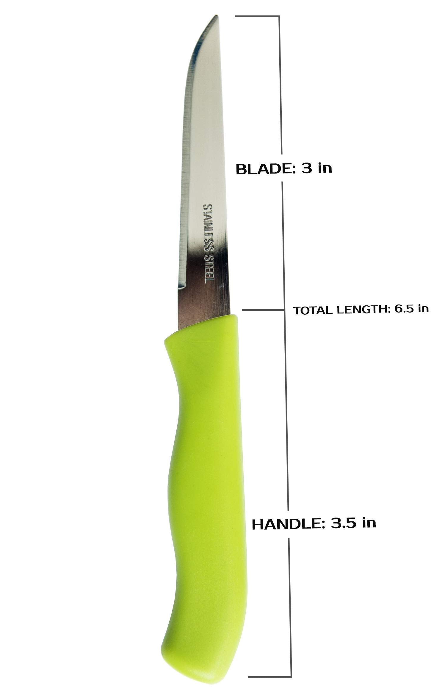 Brenium stainless steel paring knives designed for razor-sharp edges and durable performance.