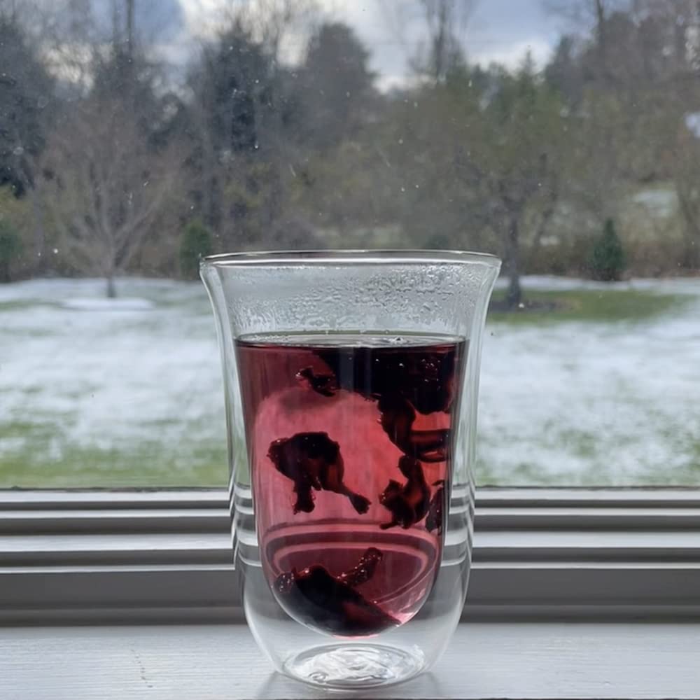Brod & Taylor dishwasher-safe glass cup for easy cleanup after daily lattes.