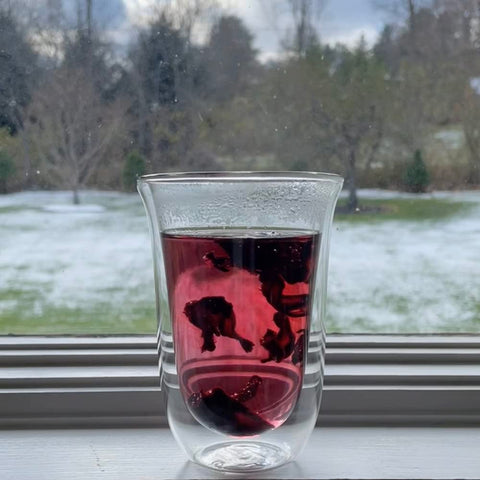 Brod & Taylor dishwasher-safe glass cup for easy cleanup after daily lattes.