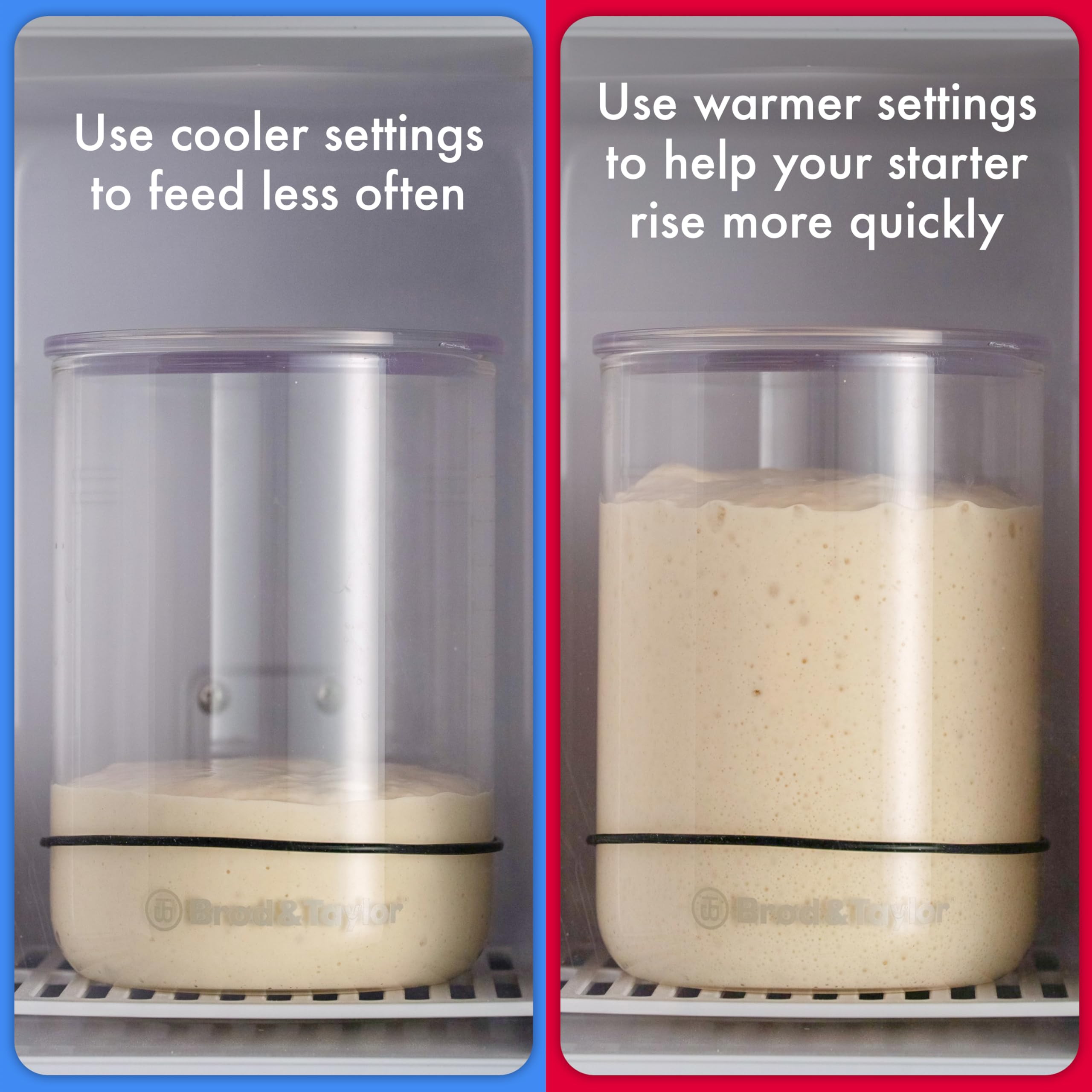 Brod & Taylor Sourdough Home inside dimensions reveal space for a 1 qt jar.