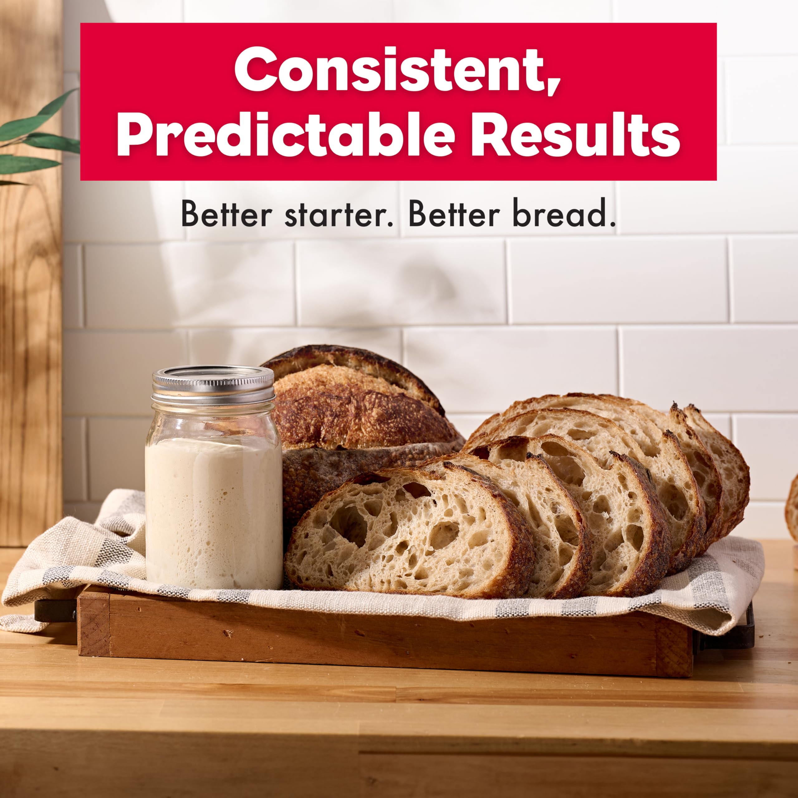Brod & Taylor Sourdough Home sealed door maintains stable fermentation temperature.