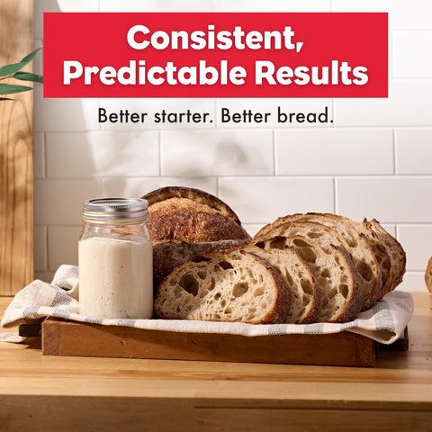 Brod & Taylor Sourdough Home sealed door maintains stable fermentation temperature.
