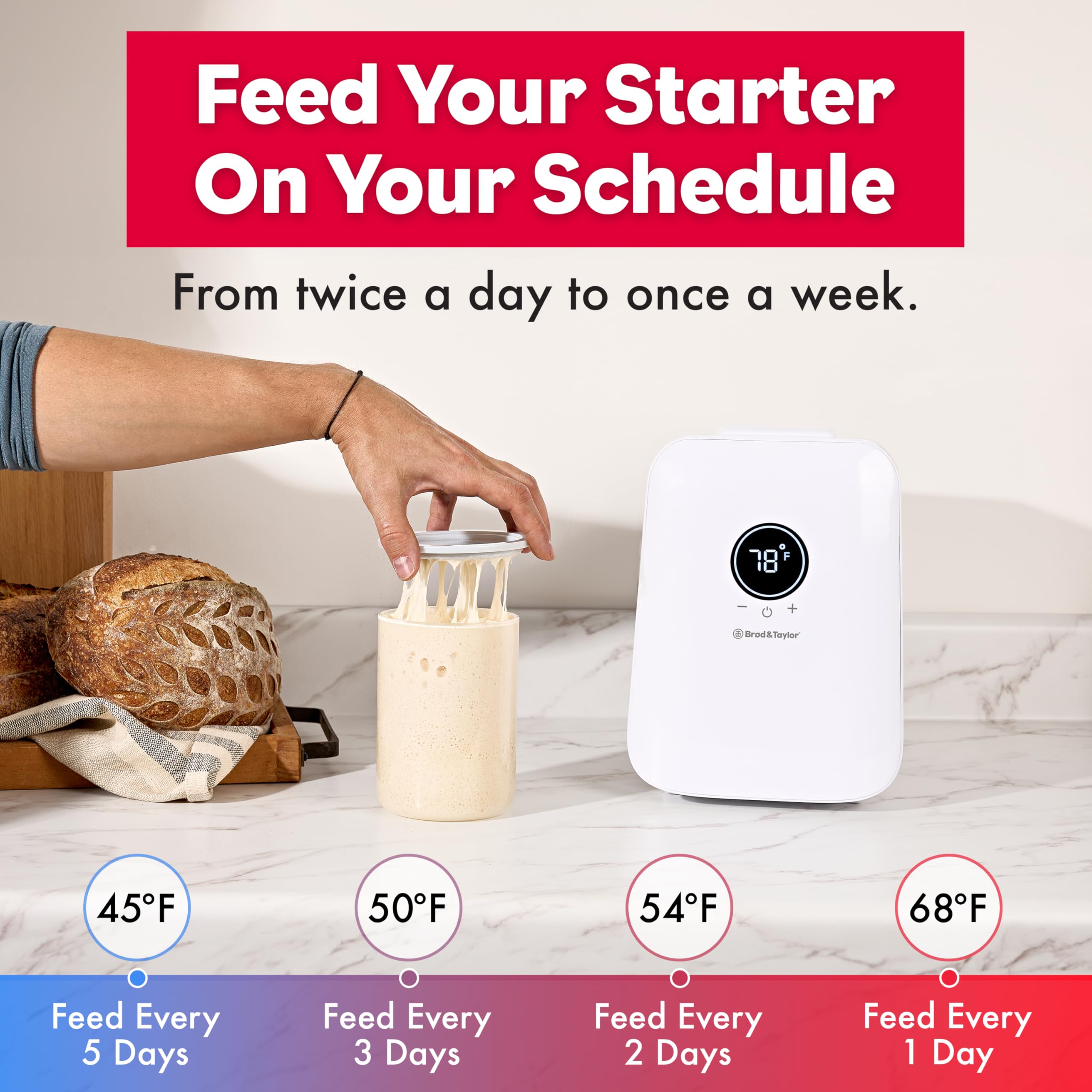 Brod & Taylor Sourdough Home starter jar area supports flexible weekly or daily feeds.