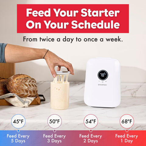 Brod & Taylor Sourdough Home starter jar area supports flexible weekly or daily feeds.