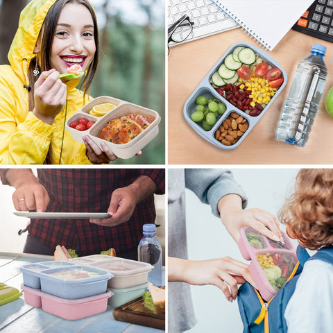 Buluker 4-pack Bento compact transport for easy work or picnic meals.