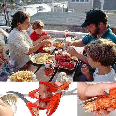 Calary ergonomic grip aids prolonged use in busy kitchens.