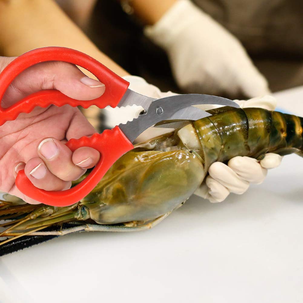 Calary versatile scissors for crab, shrimp, lobster and more.