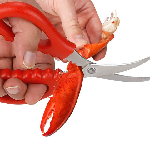 Calary home or restaurant use ideal for seafood prep.