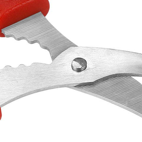 Calary stainless steel blade close-up highlights sharp durability.