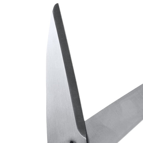 CANARY detachable blade design enables quick cleaning and dishwasher-safe care.