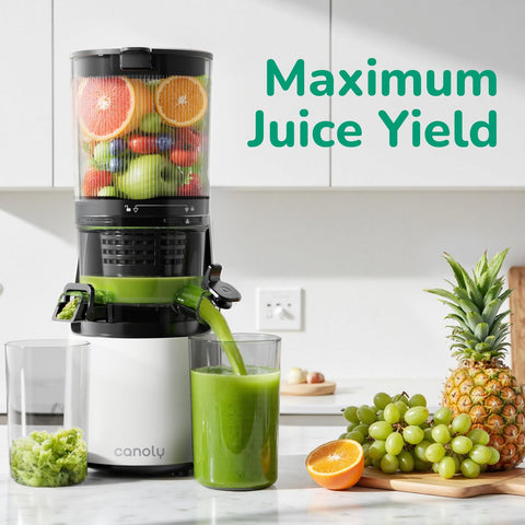 Canoly C16 juice mesh filter delivering clear juice from fresh produce