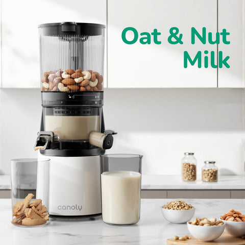 Canoly C16 nut milk filter for smooth plant-based milks