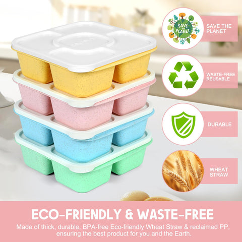 Caperci 5-compartment snack box ideal for kids and adults.