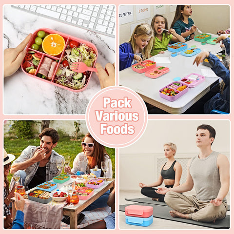 BPA-free food grade material supports safe everyday meals