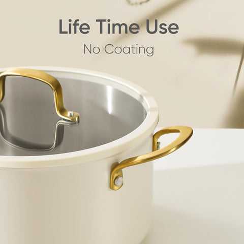 CAROTE glass lid with steam release for even cooking