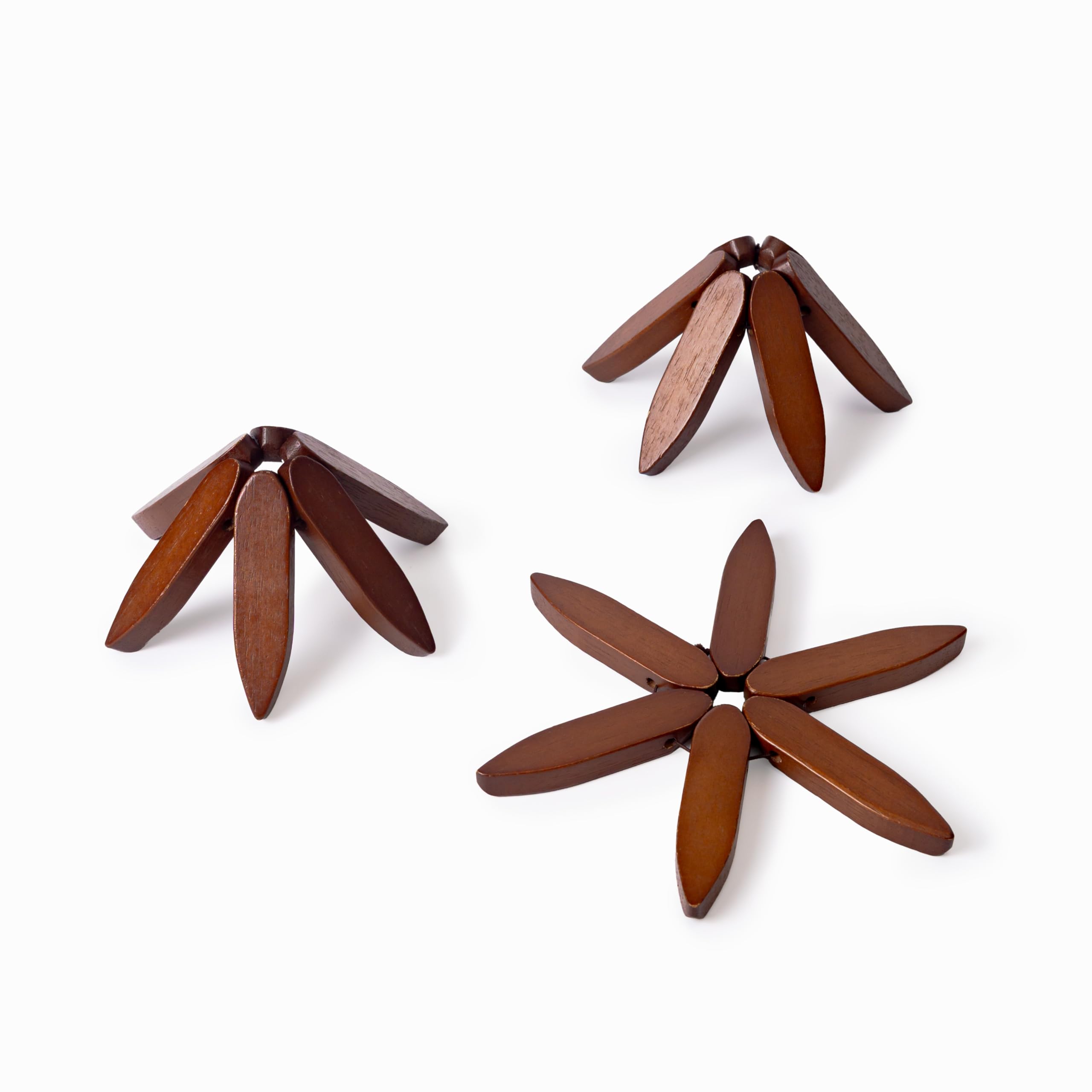 Casa/Legno tree-trivet set enhances kitchen and dining room setups with warm wood.