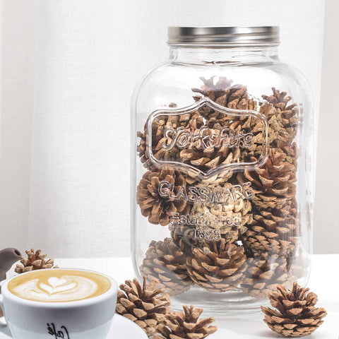 CATPOWER cookie candy penny jar perfect for treats and display.