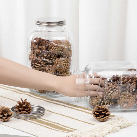 Wide-mouth CATPOWER jar shown in a practical kitchen storage setup.