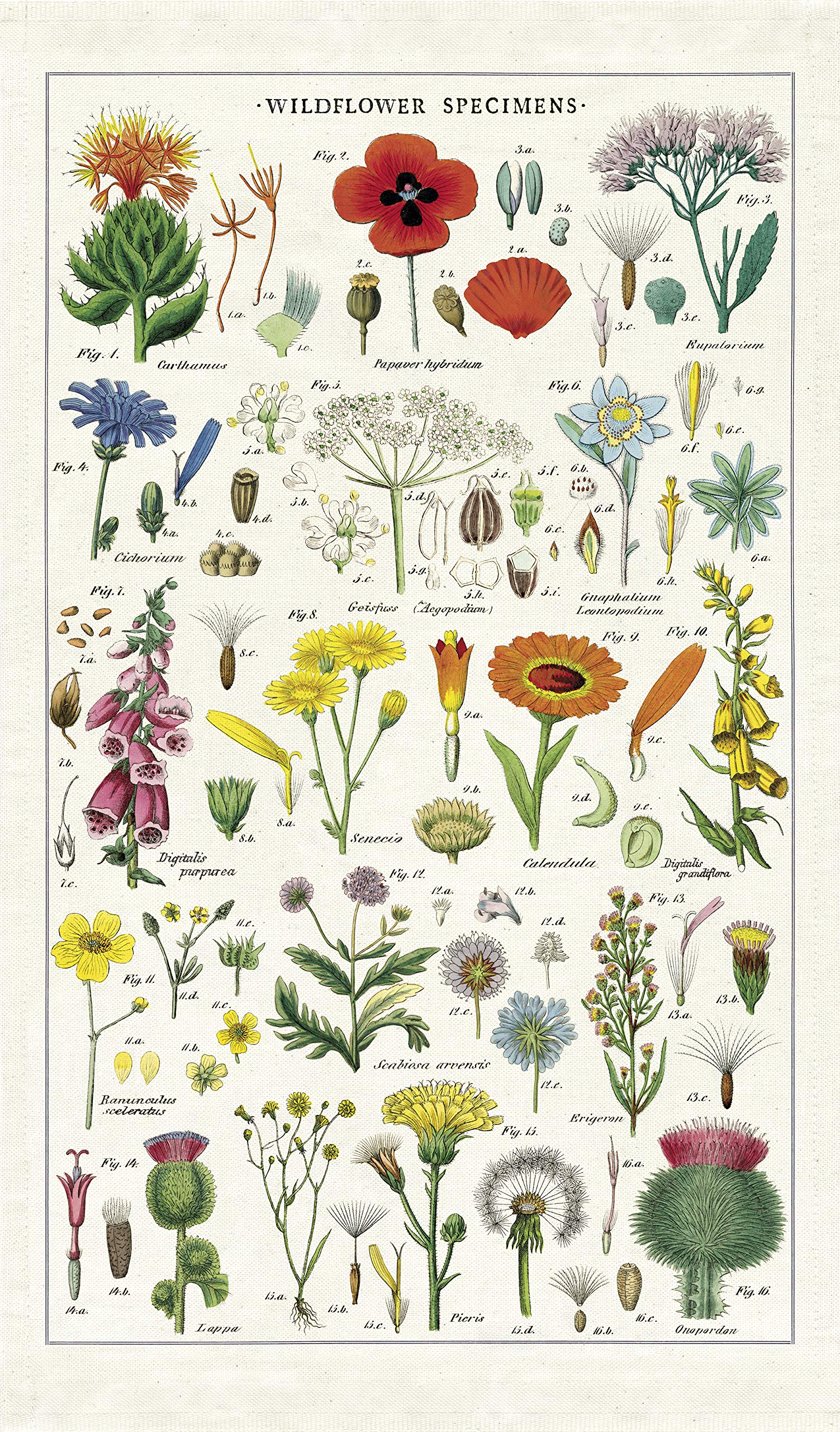 Cavallini Papers & Co. Wildflowers Tea Towel in multicolor, soft cotton for everyday kitchen use.