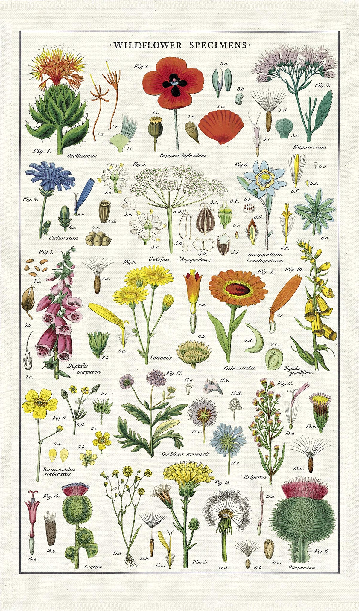 Cavallini Papers & Co. Wildflowers Tea Towel in multicolor, soft cotton for everyday kitchen use.