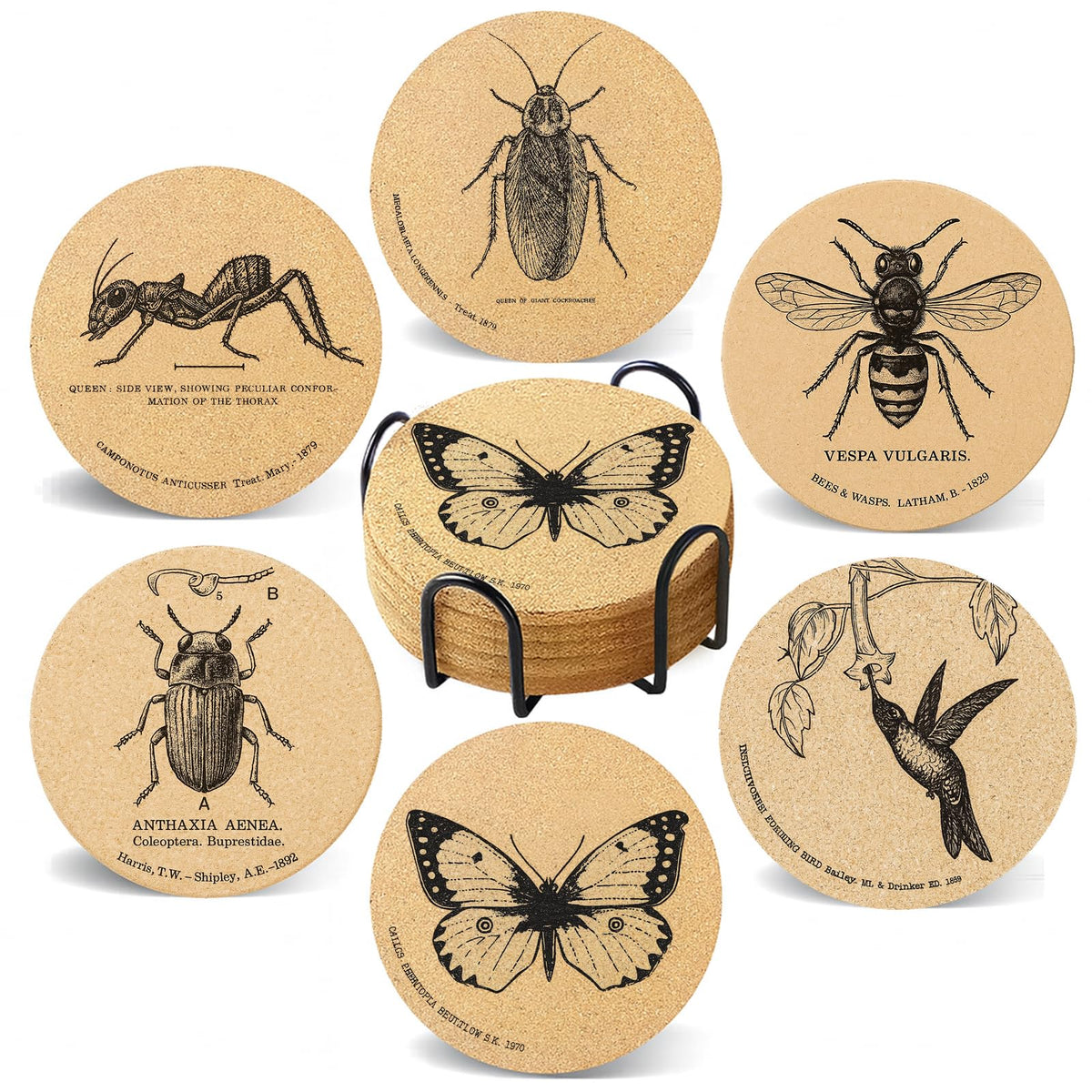 Cegkuc butterfly coaster with holder protects surfaces and adds nature-inspired charm.
