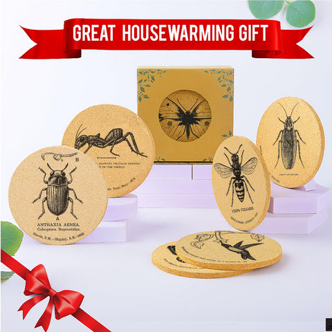 Cegkuc set of 6 insect coasters ideal for home and office spaces.