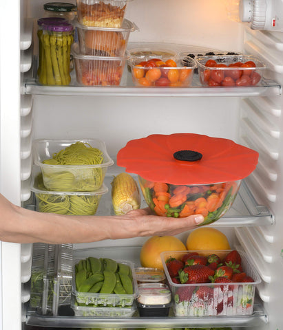 Charles Viancin Poppy lid stored in freezer helps keep leftovers organized