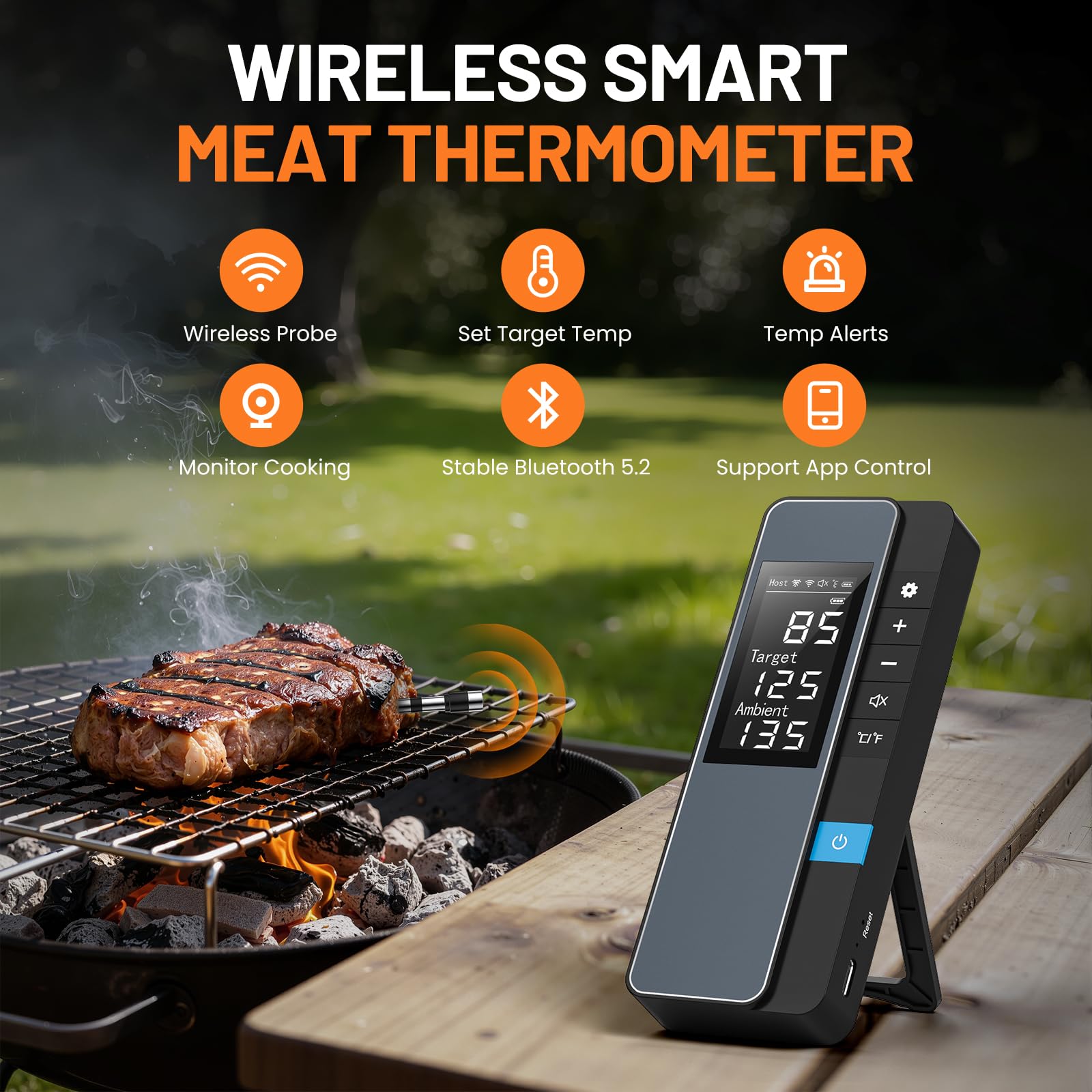 Chihod thermometer probe in meat for accurate real-time readings