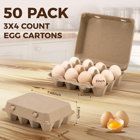 Close-up of CINPIUK paper pulp carton showing molded egg cups for protection
