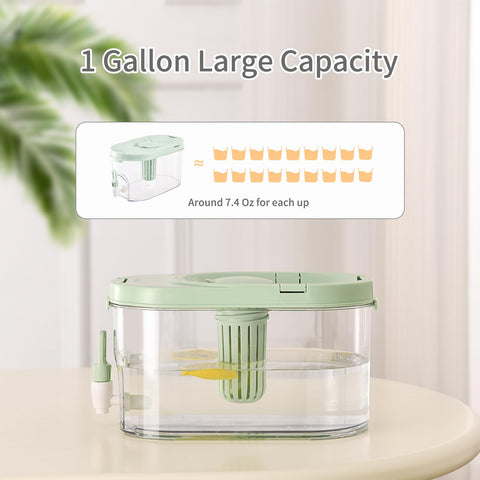 CISIREE fruit infuser section with mint and citrus for flavorful cold drinks.