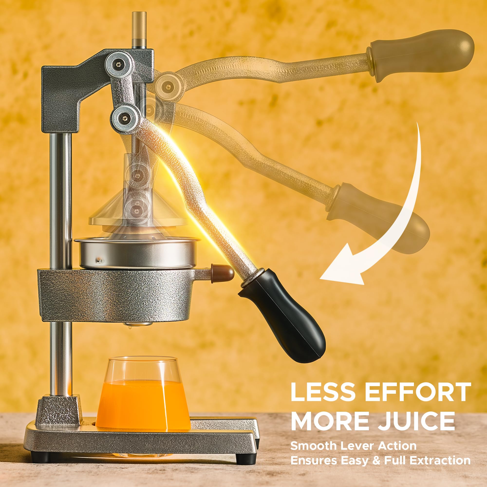 CO-Z gray cone concentrates juice efficiently for citrus varieties
