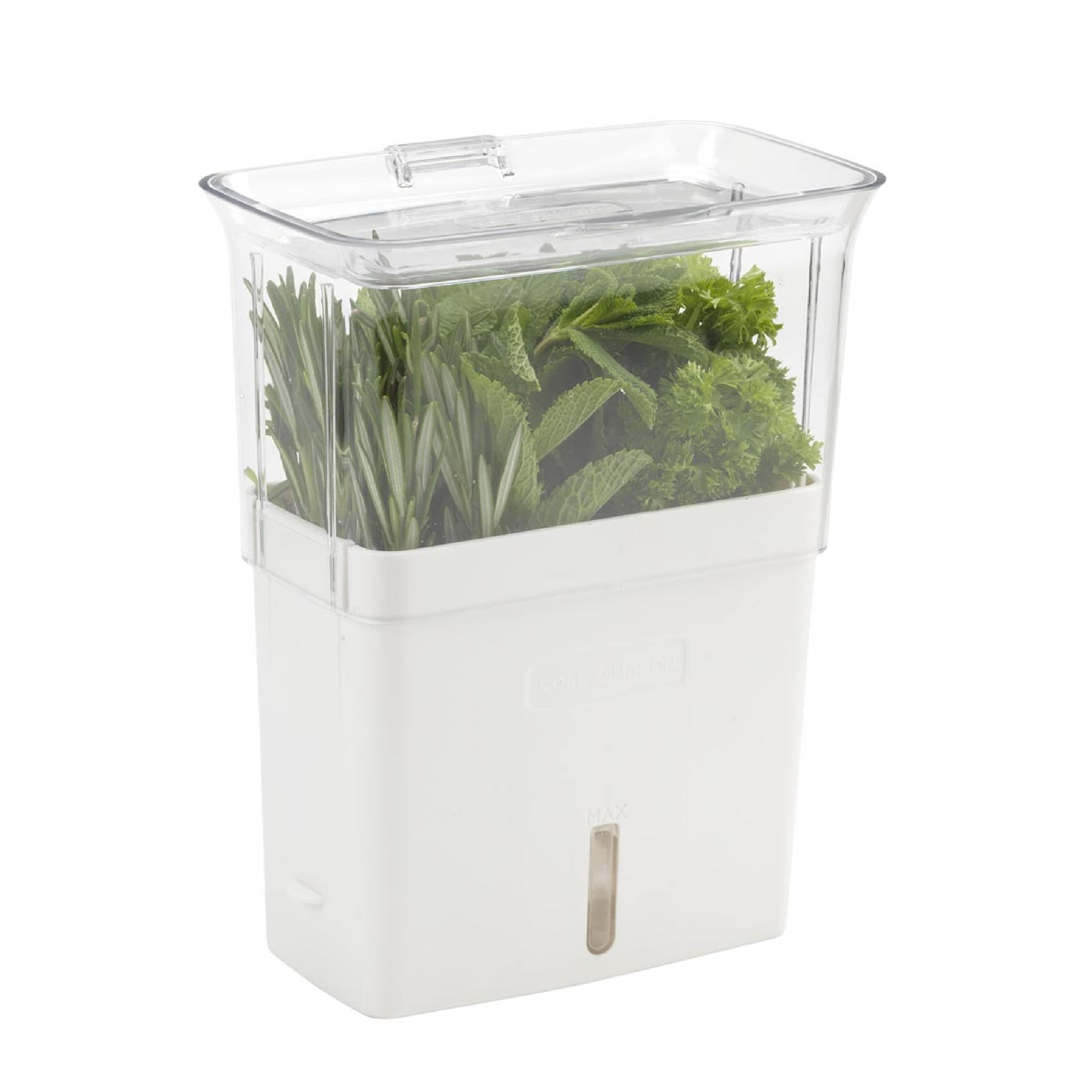 Cole & Mason Fresh Herb Keeper in acrylic fridge, keeps herbs crisp and visible.