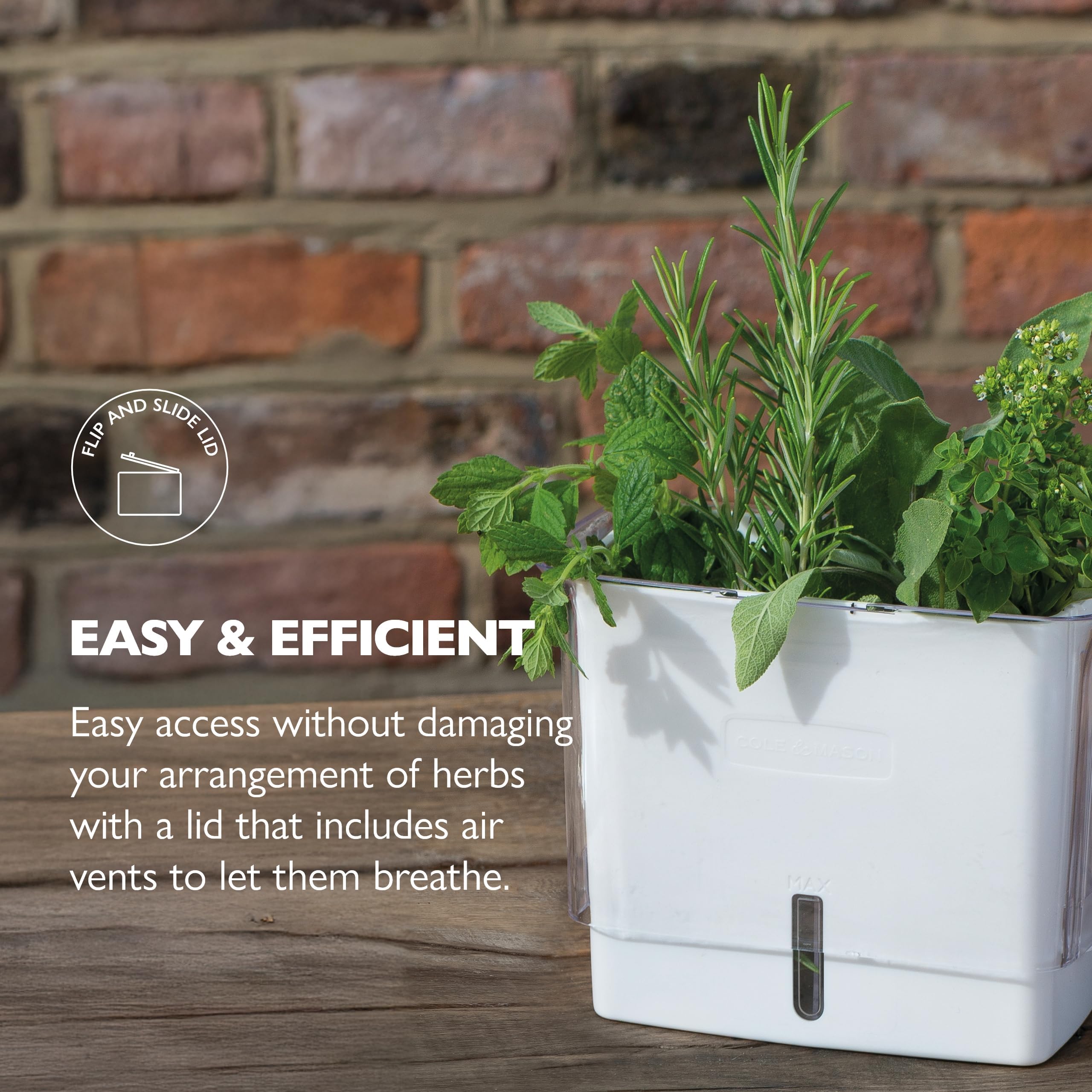 Cole & Mason fresh herb keeper with removable dividers for organized herbs.