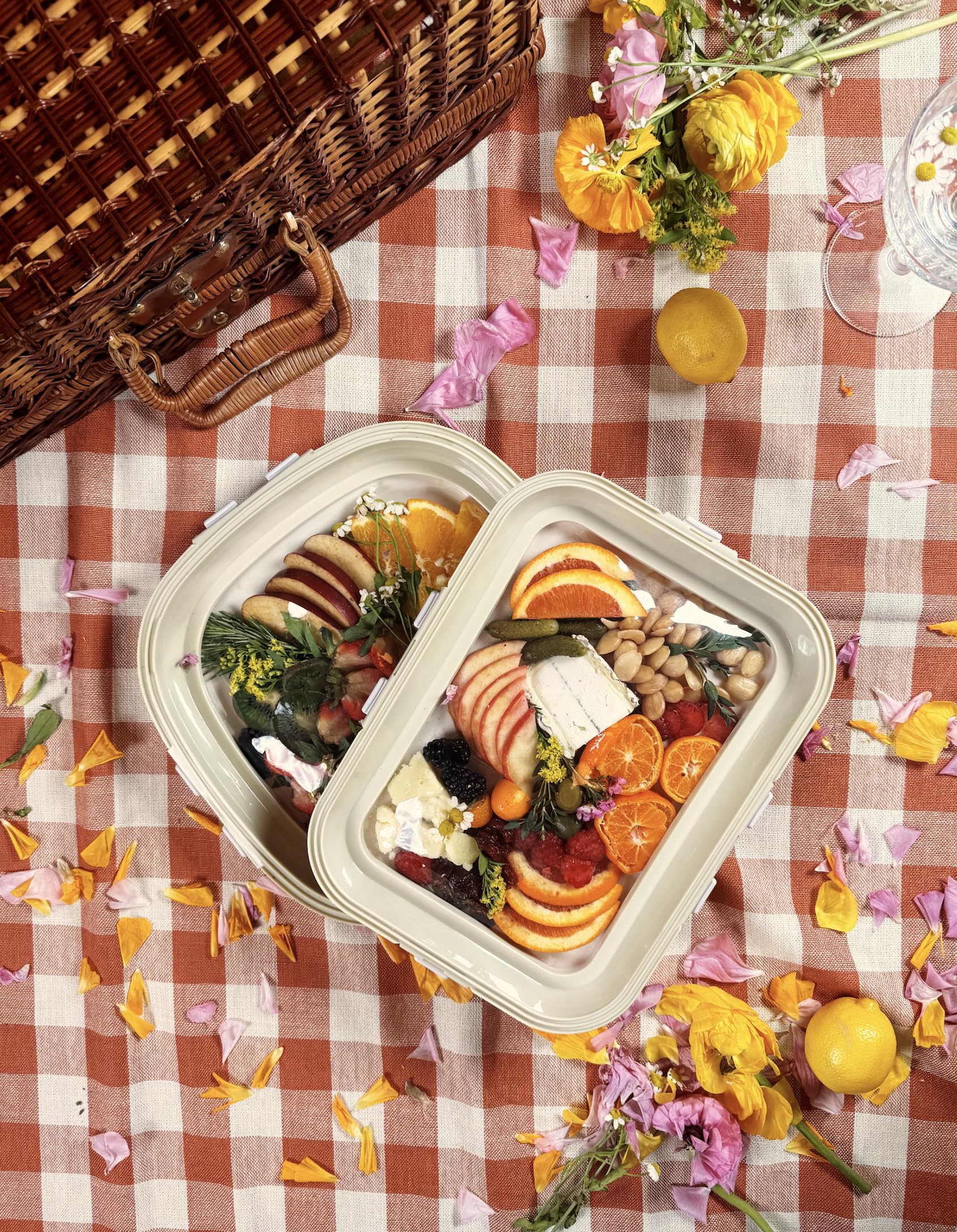 Crudités BPA-free containers are safe for pantry, fridge, and freezer
