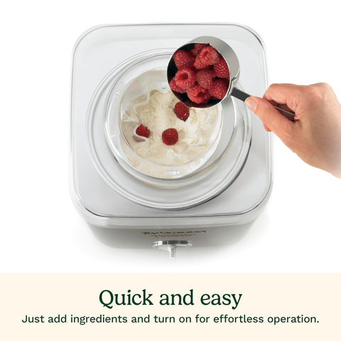 Cuisinart ice cream maker includes paddle and lid for smooth textures.