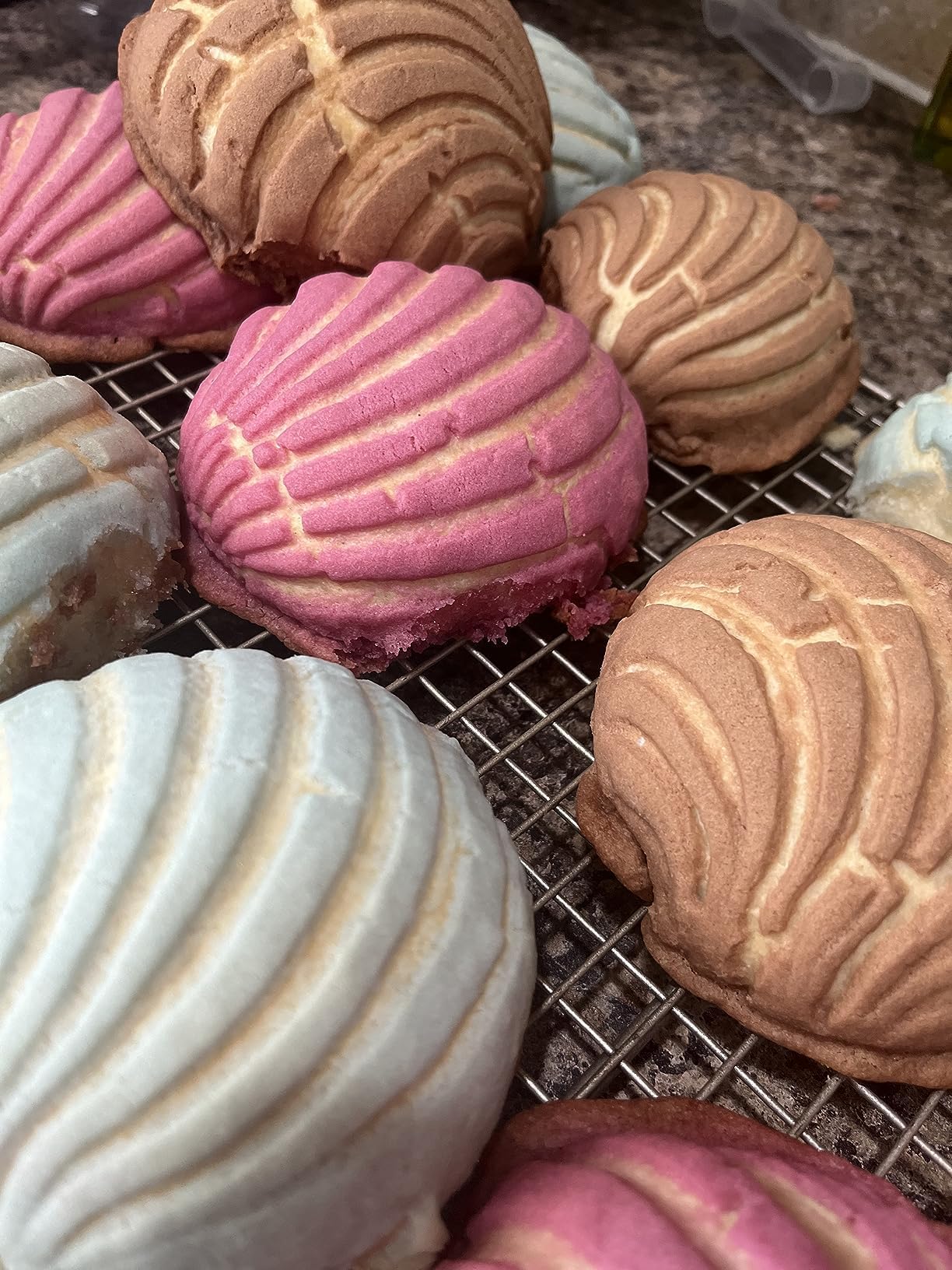 Cuitaxi concha mold ships ready for immediate use in pan dulce projects.