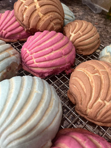 Cuitaxi concha mold ships ready for immediate use in pan dulce projects.