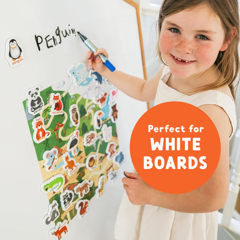 Curious Columbus zebra magnet aids word recall and color detection.