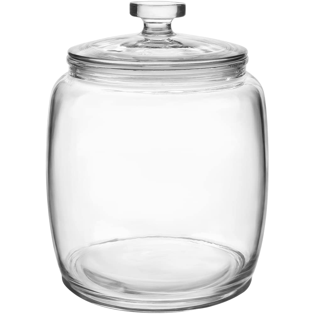 Daitouge 2.5 gal glass jar with wide mouth for easy filling and quick access