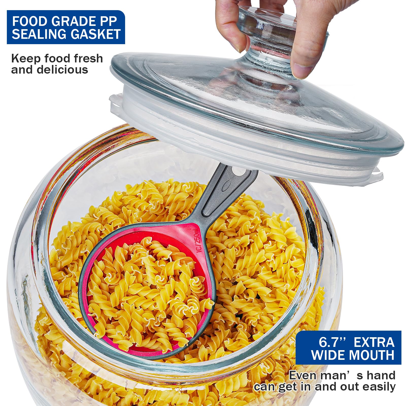 Daitouge candy jar with contemporary glass design for stylish kitchen display and storage