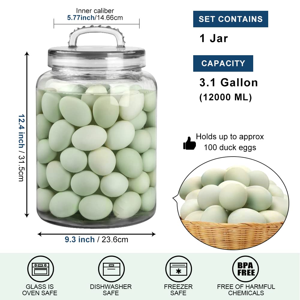 Daitouge jar size 9.3W x 12.4H fits shelves neatly.