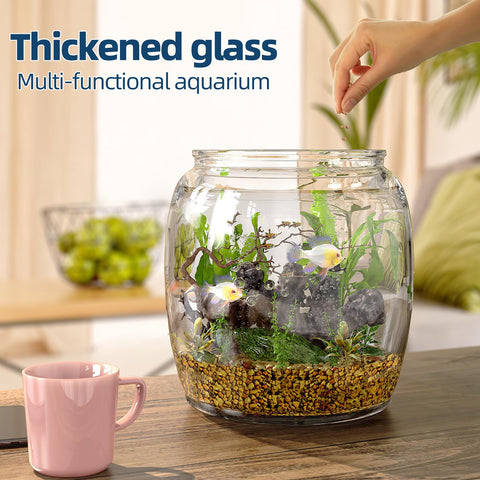 Daitouge plus-handle lid makes daily use easier while keeping contents fresh