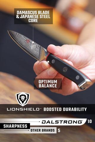 Dalstrong AUS-10V core edge closeup demonstrates exceptional sharpness potential