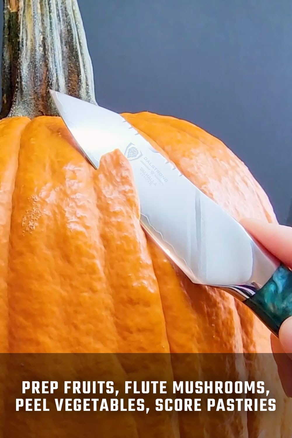 Dalstrong Valhalla leather sheath image showing on-the-go protection.