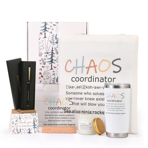 ddnzhe Chaos Coordinator mug for on the go drinks, adds a cheerful productivity boost