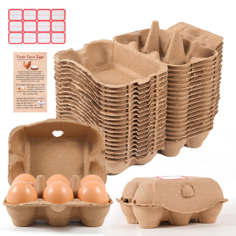 DecarDamai 40-pack egg cartons bulk with secure front clasp for safe transport.